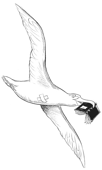 Иллюстрация к книге — Юная леди Гот и призрак мышонка [i_110.jpg]