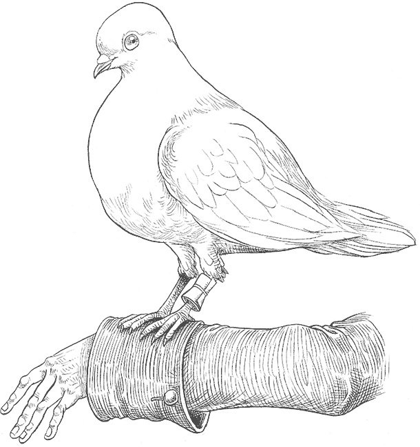 Иллюстрация к книге — Юная леди Гот и Праздник Полной Луны [i_011.jpg]