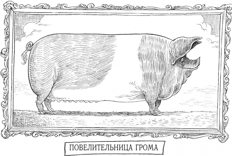 Иллюстрация к книге — Юная леди Гот и Праздник Полной Луны [i_025.jpg]