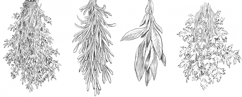 Иллюстрация к книге — Юная леди Гот и Праздник Полной Луны [i_032.jpg]