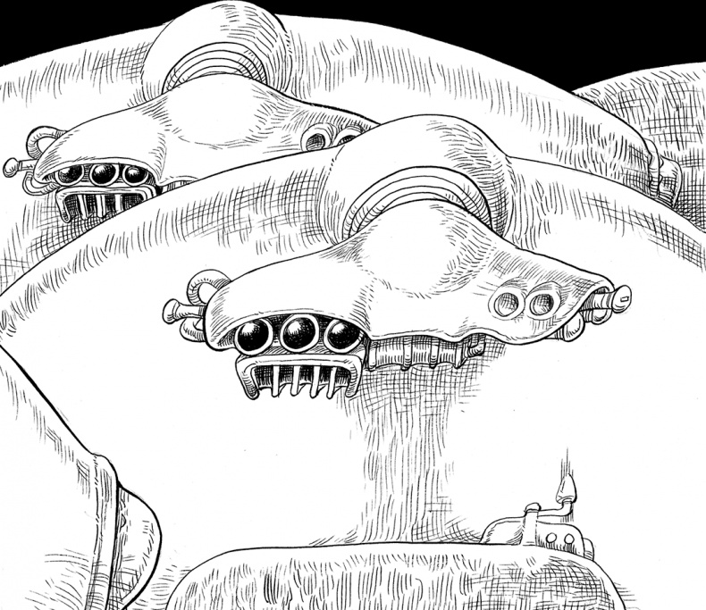 Иллюстрация к книге — Охотник на зоидов [i_086.jpg]