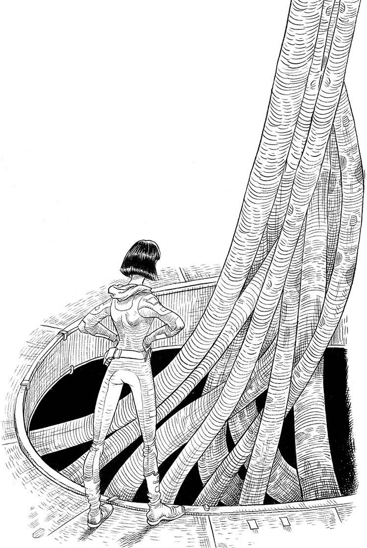 Иллюстрация к книге — Охотник на зоидов [i_093.jpg]