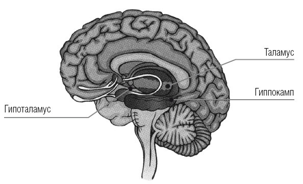 Иллюстрация к книге — Сила мысли. Поменяйте ход своих мыслей, измените свою жизнь [i_019.jpg]