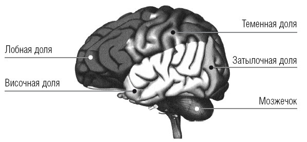 Иллюстрация к книге — Сила мысли. Поменяйте ход своих мыслей, измените свою жизнь [i_025.jpg]