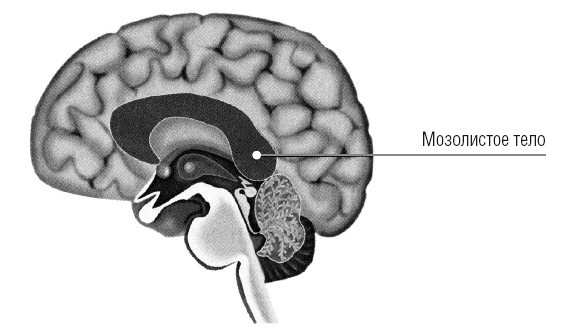 Иллюстрация к книге — Сила мысли. Поменяйте ход своих мыслей, измените свою жизнь [i_026.jpg]