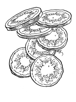 Иллюстрация к книге — Сказки сироты: Города монет и пряностей [i_011.jpg]