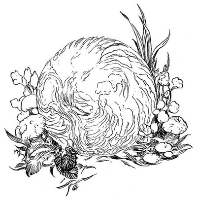 Иллюстрация к книге — Сказки сироты: Города монет и пряностей [i_012.jpg]