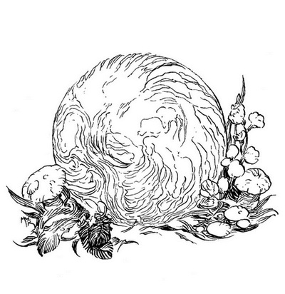 Иллюстрация к книге — Сказки сироты: Города монет и пряностей [i_014.jpg]