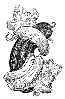 Иллюстрация к книге — Сказки сироты: Города монет и пряностей [i_038.jpg]