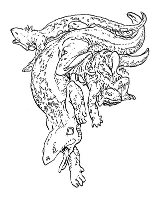 Иллюстрация к книге — Сказки сироты: Города монет и пряностей [i_043.jpg]