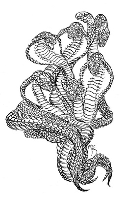 Иллюстрация к книге — Сказки сироты: Города монет и пряностей [i_051.jpg]