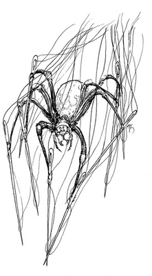 Иллюстрация к книге — Сказки сироты: Города монет и пряностей [i_075.jpg]