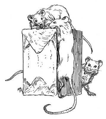 Иллюстрация к книге — Сказки сироты: Города монет и пряностей [i_081.jpg]