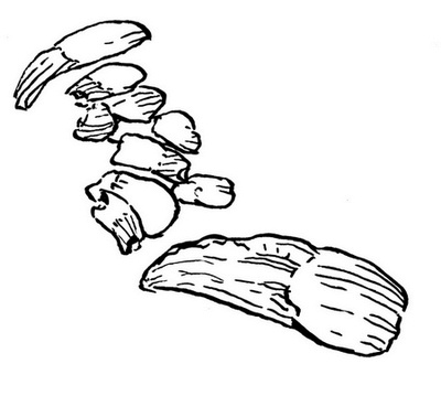 Иллюстрация к книге — Сказки сироты: Города монет и пряностей [i_098.jpg]