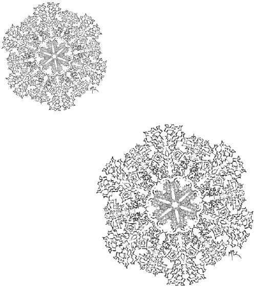 Иллюстрация к книге — Сказки сироты: Города монет и пряностей [i_111.jpg]