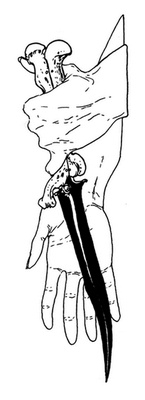 Иллюстрация к книге — Сказки сироты: Города монет и пряностей [i_112.jpg]