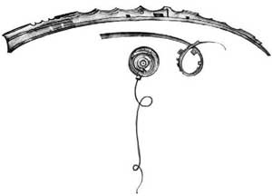 Иллюстрация к книге — Живые. Книга 3. Земля будет принадлежать нам [i_016.jpg]