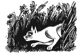 Иллюстрация к книге — Битвы племен [pic_10.jpg]