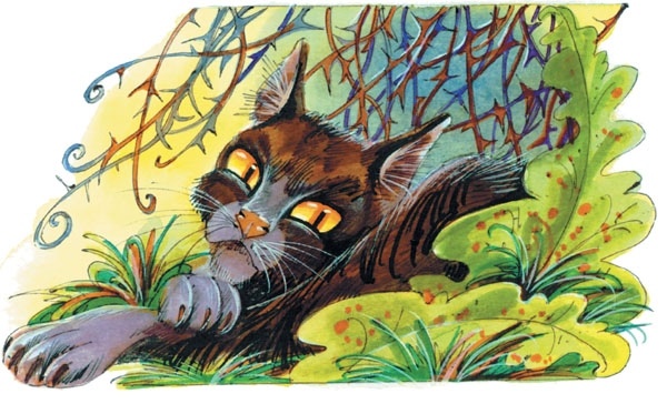 Иллюстрация к книге — Битвы племен [pic_100.jpg]