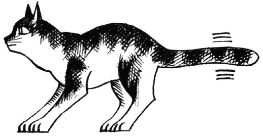 Иллюстрация к книге — Битвы племен [pic_25.jpg]