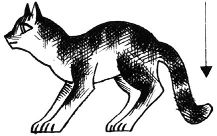 Иллюстрация к книге — Битвы племен [pic_26.jpg]