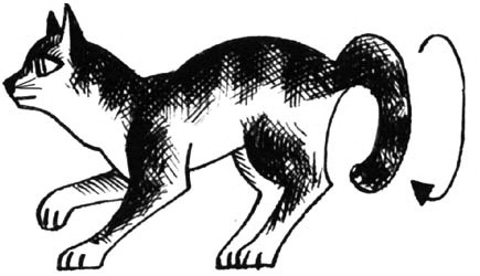 Иллюстрация к книге — Битвы племен [pic_27.jpg]