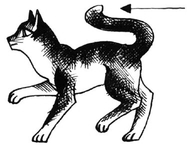 Иллюстрация к книге — Битвы племен [pic_28.jpg]