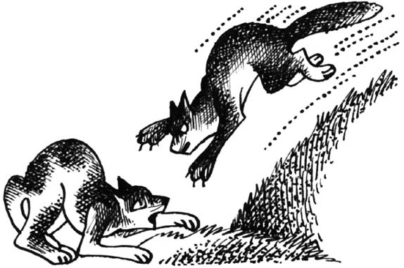 Иллюстрация к книге — Битвы племен [pic_52.jpg]