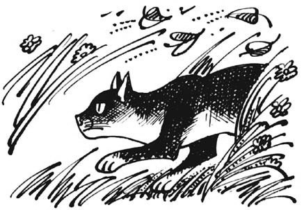 Иллюстрация к книге — Битвы племен [pic_9.jpg]