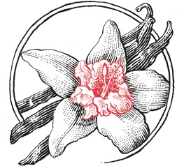 Иллюстрация к книге — Кухня по правилам и без. Что нужно знать, чтобы начать экспериментировать [i_011.jpg]