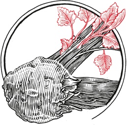 Иллюстрация к книге — Кухня по правилам и без. Что нужно знать, чтобы начать экспериментировать [i_013.jpg]