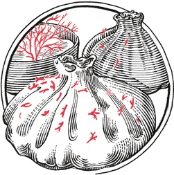 Иллюстрация к книге — Кухня по правилам и без. Что нужно знать, чтобы начать экспериментировать [i_027.jpg]