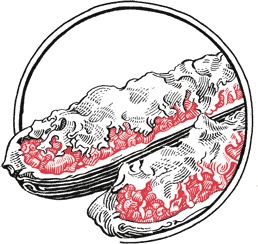 Иллюстрация к книге — Кухня по правилам и без. Что нужно знать, чтобы начать экспериментировать [i_028.jpg]