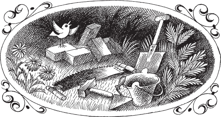 Иллюстрация к книге — Три поросёнка и другие сказки [i_018.jpg]