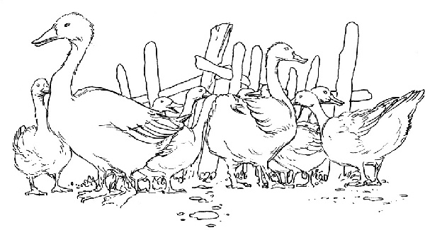 Иллюстрация к книге — В ночном саду [i_002.jpg]