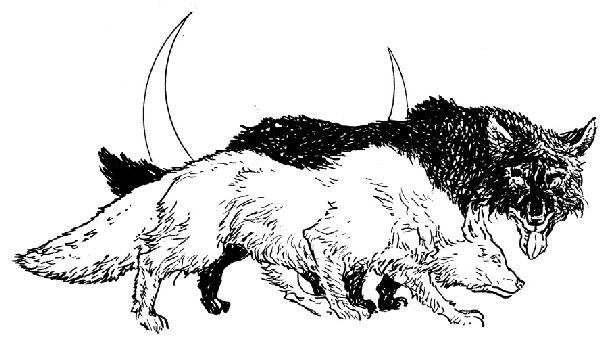 Иллюстрация к книге — В ночном саду [i_006.jpg]