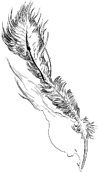 Иллюстрация к книге — В ночном саду [i_017.jpg]