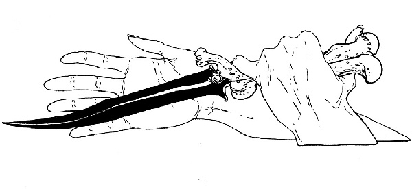 Иллюстрация к книге — В ночном саду [i_018.jpg]