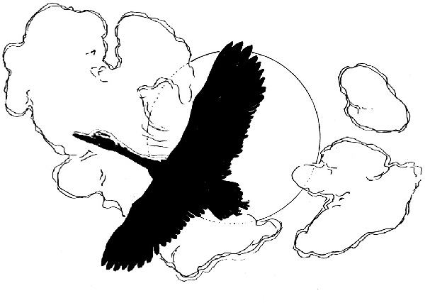 Иллюстрация к книге — В ночном саду [i_019.jpg]