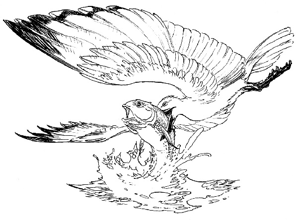 Иллюстрация к книге — В ночном саду [i_035.jpg]