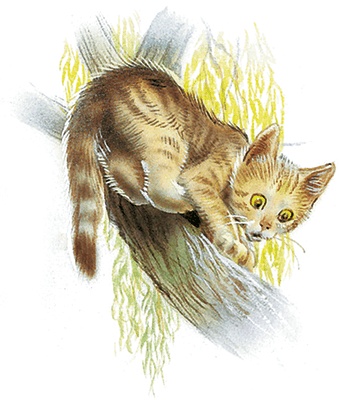 Иллюстрация к книге — Маруся спешит на помощь. Кошечка. Воробей (сборник) [i_024.jpg]