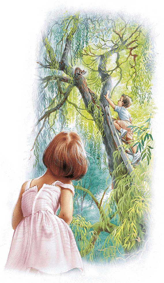 Иллюстрация к книге — Маруся спешит на помощь. Кошечка. Воробей (сборник) [i_025.jpg]