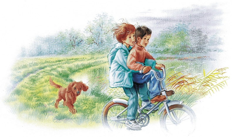 Иллюстрация к книге — Маруся спешит на помощь. Кошечка. Воробей (сборник) [i_032.jpg]