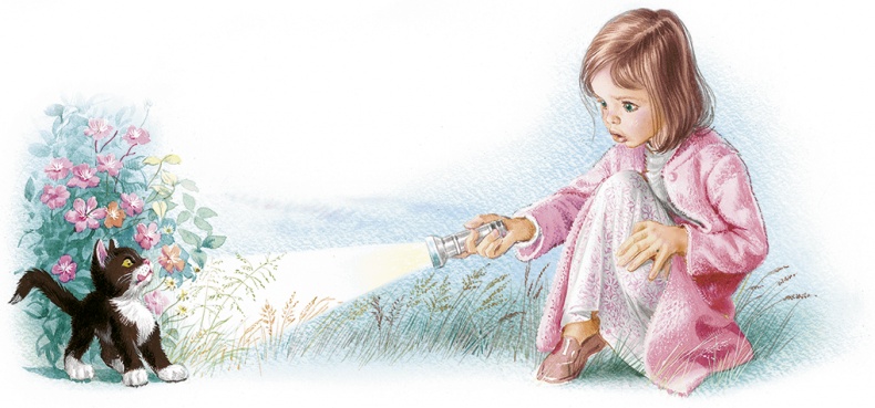 Иллюстрация к книге — Маруся спешит на помощь. Кошечка. Воробей (сборник) [i_053.jpg]