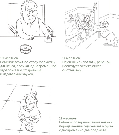 Иллюстрация к книге — Игра в раннем детстве: От рождения до 6 лет [i_004.jpg]