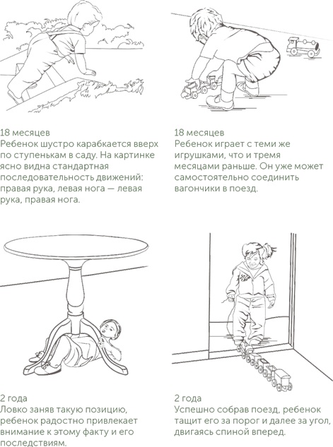 Иллюстрация к книге — Игра в раннем детстве: От рождения до 6 лет [i_010.jpg]