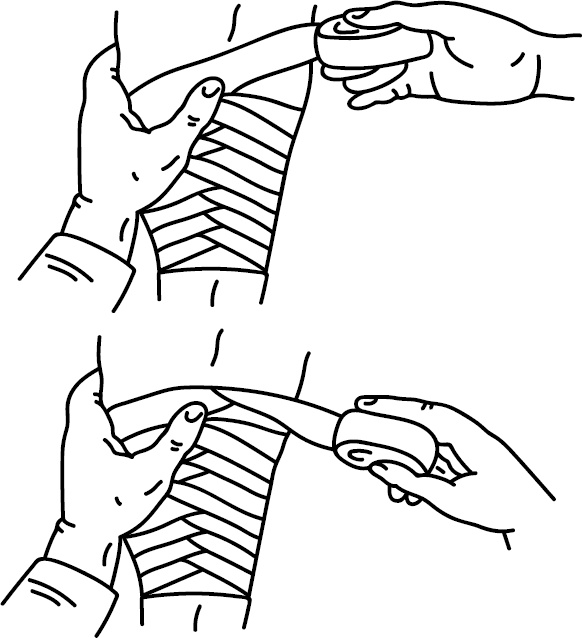 Иллюстрация к книге — Скорая помощь на дому [_12.jpg]