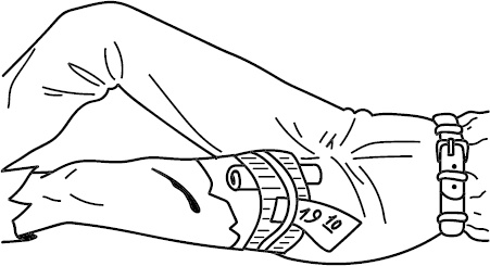 Иллюстрация к книге — Скорая помощь на дому [_4.jpg]