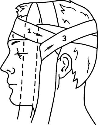 Иллюстрация к книге — Скорая помощь на дому [_6.jpg]