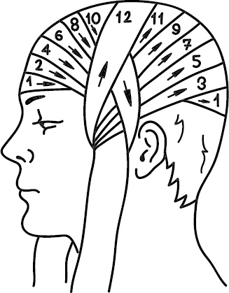 Иллюстрация к книге — Скорая помощь на дому [_7.jpg]